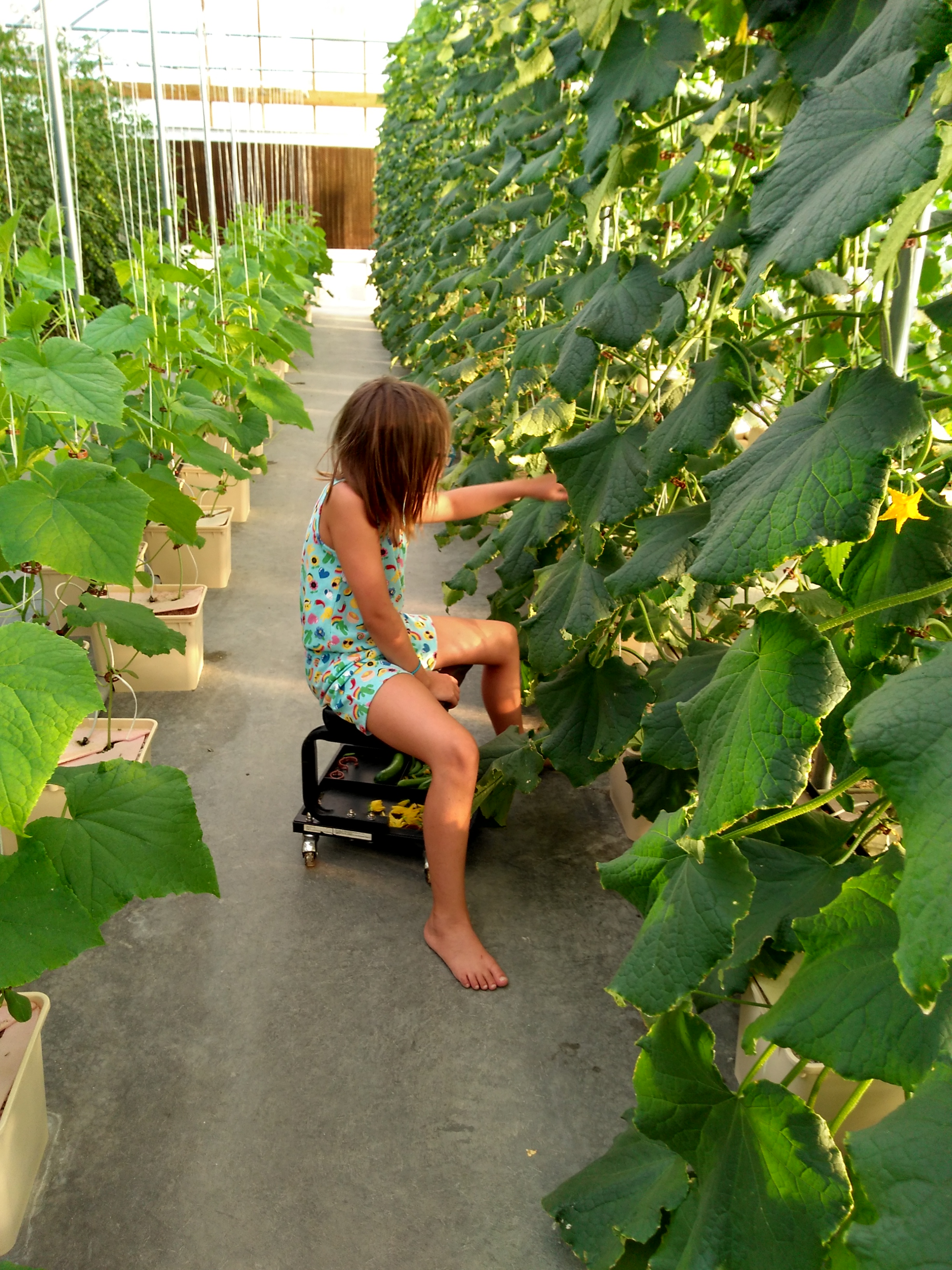 Learning_something_new