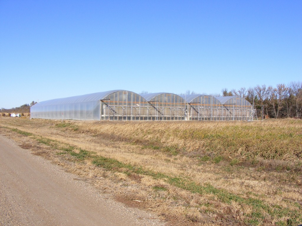 oct_2010_014_(1024x768)